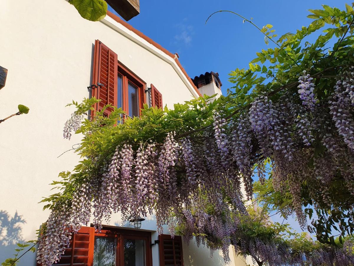 Vila Rosa Portorož Exterior foto